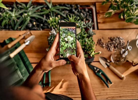 Chat Application