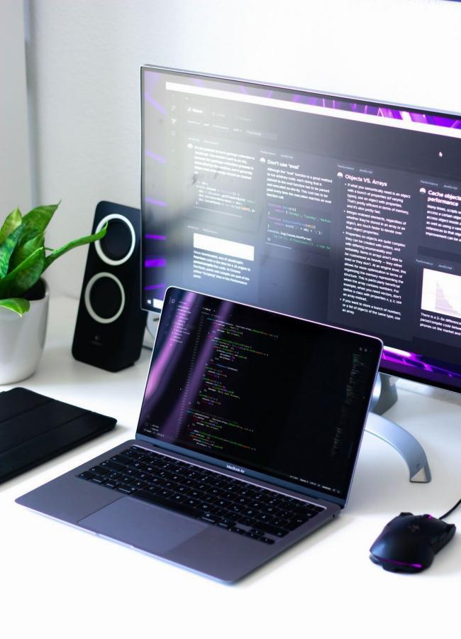 Web app developers, accelerated project delivery and team augmentation